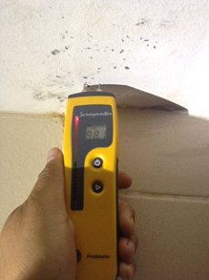 Notice how the moisture meter is showing a 98.1% moisture reading at this ceiling, which indicates the presence of moisture.