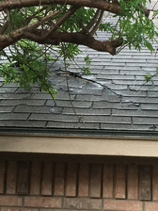 Notice how the tree branches have severely damaged the roof shingles as well as the roof decking.  It is very important to trim back all tree branches and remove all trees close to the house.