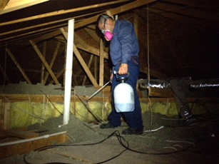 Here we were spraying an attic for powder post beetle.  This type of insect is also considered a “wood destroying” insect and is also reported on a Termite Report.