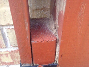 You might think the dirt on this wood fence is nothing more than dirt.  Once we removed the dirt we saw the termites come out!   Also, some people say that termites do not eat treated lumber, but after the wood gets old it becomes susceptible to termites.